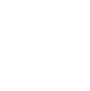 Claritas_Advantage_AI_brain_Neg-294x300